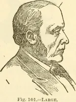 An illustration from The self-instructor in phrenology and physiology; with over one hundred new illustrations, including a chart for the use of practical phrenologists (1890)