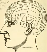 Picture 1 of 70 from The self-instructor in phrenology and physiology; with over one hundred new illustrations, including a chart for the use of practical phrenologists (1890), leaf 5