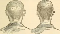 An illustration from The self-instructor in phrenology and physiology; with over one hundred new illustrations, including a chart for the use of practical phrenologists (1890)