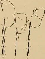 An illustration from The self-instructor in silk knitting, crocheting and embroidery (1884)