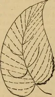 An illustration from The self-instructor in silk knitting, crocheting and embroidery (1884)