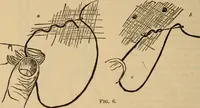 An illustration from The self-instructor in silk knitting, crocheting and embroidery (1884)