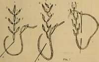An illustration from The self-instructor in silk knitting, crocheting and embroidery (1884)