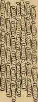 An illustration from The self-instructor in silk knitting, crocheting and embroidery (1884)