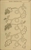 Picture 51 of 62 from The self-instructor in silk knitting, crocheting and embroidery (1884), leaf 70
