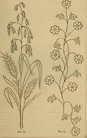 An illustration from The self-instructor in silk knitting, crocheting and embroidery (1884)