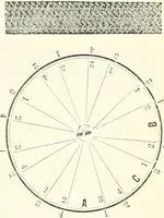 An illustration from Self-instructor in the art of hair work, dressing hair, making curls, switches, braids, and hair jewelry of every description (1867)