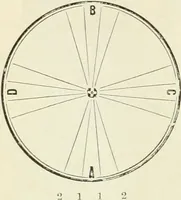 An illustration from Self-instructor in the art of hair work, dressing hair, making curls, switches, braids, and hair jewelry of every description (1867)