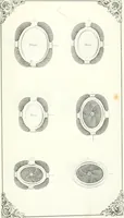 An illustration from Self-instructor in the art of hair work, dressing hair, making curls, switches, braids, and hair jewelry of every description (1867)