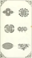 An illustration from Self-instructor in the art of hair work, dressing hair, making curls, switches, braids, and hair jewelry of every description (1867)