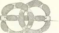 An illustration from Self-instructor in the art of hair work, dressing hair, making curls, switches, braids, and hair jewelry of every description (1867)