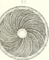 An illustration from Self-instructor in the art of hair work, dressing hair, making curls, switches, braids, and hair jewelry of every description (1867)