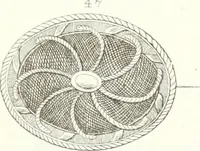 An illustration from Self-instructor in the art of hair work, dressing hair, making curls, switches, braids, and hair jewelry of every description (1867)