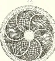 An illustration from Self-instructor in the art of hair work, dressing hair, making curls, switches, braids, and hair jewelry of every description (1867)