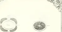 An illustration from Self-instructor in the art of hair work, dressing hair, making curls, switches, braids, and hair jewelry of every description (1867)
