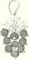 An illustration from Self-instructor in the art of hair work, dressing hair, making curls, switches, braids, and hair jewelry of every description (1867)