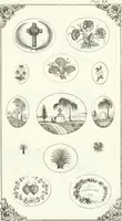An illustration from Self-instructor in the art of hair work, dressing hair, making curls, switches, braids, and hair jewelry of every description (1867)