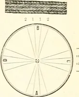 An illustration from Self-instructor in the art of hair work, dressing hair, making curls, switches, braids, and hair jewelry of every description (1867)