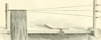 An illustration from Self-instructor in the art of hair work, dressing hair, making curls, switches, braids, and hair jewelry of every description (1867)