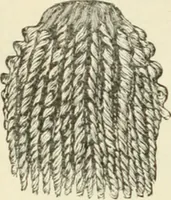 An illustration from Self-instructor in the art of hair work, dressing hair, making curls, switches, braids, and hair jewelry of every description (1867)