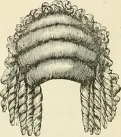 An illustration from Self-instructor in the art of hair work, dressing hair, making curls, switches, braids, and hair jewelry of every description (1867)