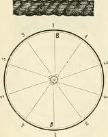 An illustration from Self-instructor in the art of hair work, dressing hair, making curls, switches, braids, and hair jewelry of every description (1867)