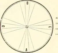 An illustration from Self-instructor in the art of hair work, dressing hair, making curls, switches, braids, and hair jewelry of every description (1867)