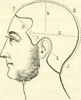 An illustration from Self-instructor in the art of hair work, dressing hair, making curls, switches, braids, and hair jewelry of every description (1867)
