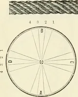 An illustration from Self-instructor in the art of hair work, dressing hair, making curls, switches, braids, and hair jewelry of every description (1867)