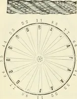 An illustration from Self-instructor in the art of hair work, dressing hair, making curls, switches, braids, and hair jewelry of every description (1867)