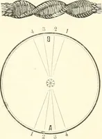 An illustration from Self-instructor in the art of hair work, dressing hair, making curls, switches, braids, and hair jewelry of every description (1867)
