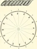 An illustration from Self-instructor in the art of hair work, dressing hair, making curls, switches, braids, and hair jewelry of every description (1867)