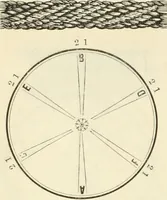 An illustration from Self-instructor in the art of hair work, dressing hair, making curls, switches, braids, and hair jewelry of every description (1867)