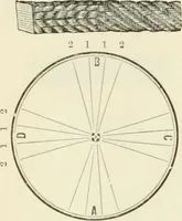 An illustration from Self-instructor in the art of hair work, dressing hair, making curls, switches, braids, and hair jewelry of every description (1867)