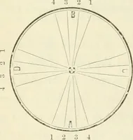 An illustration from Self-instructor in the art of hair work, dressing hair, making curls, switches, braids, and hair jewelry of every description (1867)