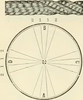 An illustration from Self-instructor in the art of hair work, dressing hair, making curls, switches, braids, and hair jewelry of every description (1867)