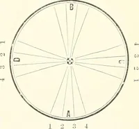 An illustration from Self-instructor in the art of hair work, dressing hair, making curls, switches, braids, and hair jewelry of every description (1867)
