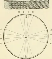 An illustration from Self-instructor in the art of hair work, dressing hair, making curls, switches, braids, and hair jewelry of every description (1867)