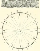 An illustration from Self-instructor in the art of hair work, dressing hair, making curls, switches, braids, and hair jewelry of every description (1867)