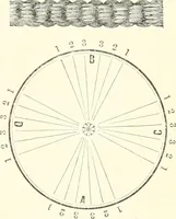 An illustration from Self-instructor in the art of hair work, dressing hair, making curls, switches, braids, and hair jewelry of every description (1867)