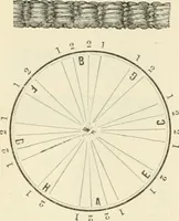 An illustration from Self-instructor in the art of hair work, dressing hair, making curls, switches, braids, and hair jewelry of every description (1867)