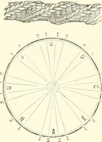 An illustration from Self-instructor in the art of hair work, dressing hair, making curls, switches, braids, and hair jewelry of every description (1867)