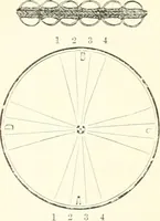 An illustration from Self-instructor in the art of hair work, dressing hair, making curls, switches, braids, and hair jewelry of every description (1867)