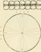 An illustration from Self-instructor in the art of hair work, dressing hair, making curls, switches, braids, and hair jewelry of every description (1867)