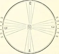 An illustration from Self-instructor in the art of hair work, dressing hair, making curls, switches, braids, and hair jewelry of every description (1867)