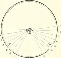 An illustration from Self-instructor in the art of hair work, dressing hair, making curls, switches, braids, and hair jewelry of every description (1867)