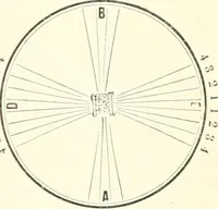An illustration from Self-instructor in the art of hair work, dressing hair, making curls, switches, braids, and hair jewelry of every description (1867)