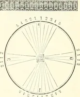 An illustration from Self-instructor in the art of hair work, dressing hair, making curls, switches, braids, and hair jewelry of every description (1867)
