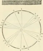 An illustration from Self-instructor in the art of hair work, dressing hair, making curls, switches, braids, and hair jewelry of every description (1867)
