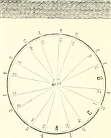 An illustration from Self-instructor in the art of hair work, dressing hair, making curls, switches, braids, and hair jewelry of every description (1867)